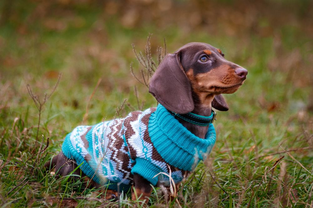 Photograph by Дмитрий Тимин