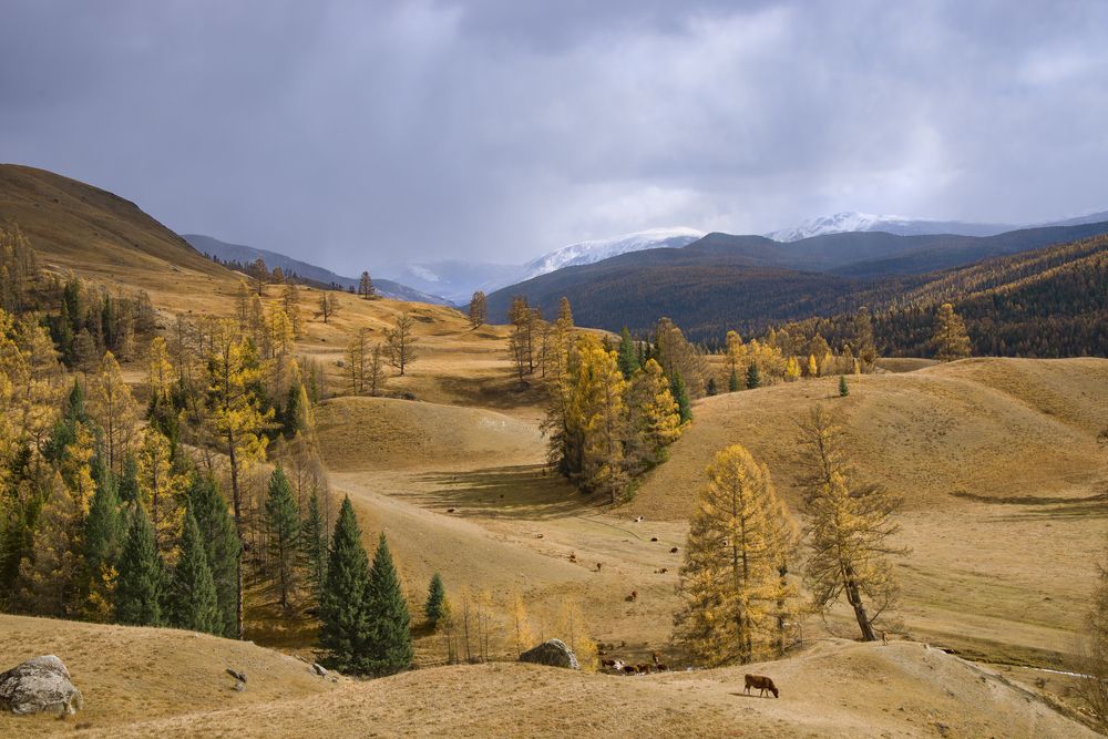 Photograph by Вадим Качанов