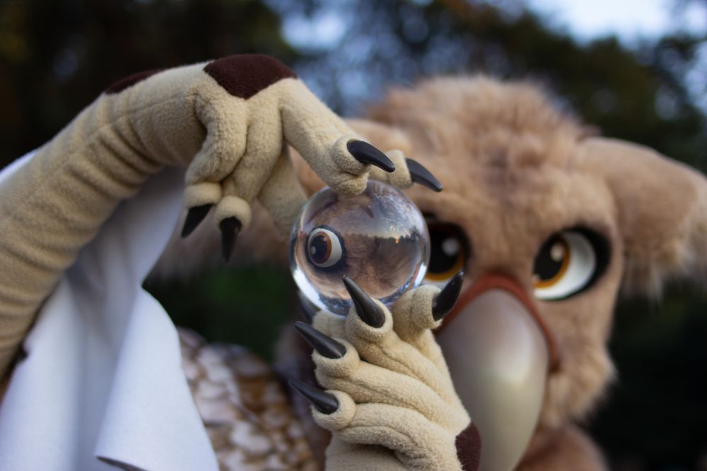 Photograph by Анна Авилочкина