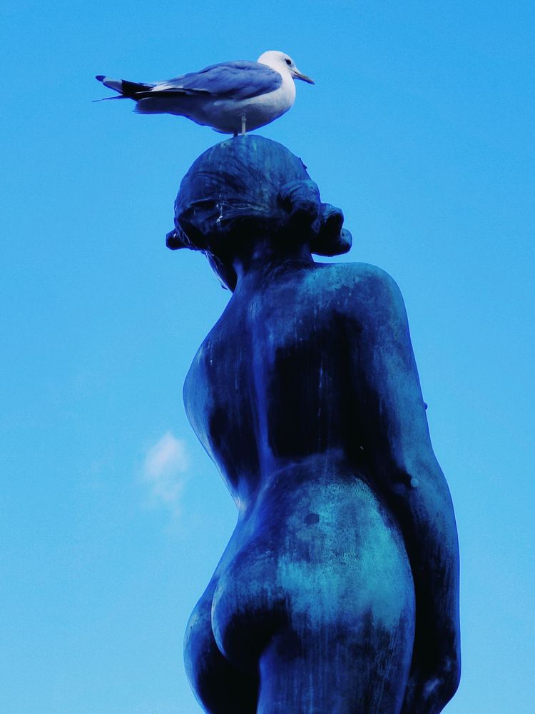 Photograph by Tuure Äikäs