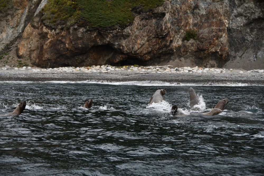 Photograph by Антон Шпак