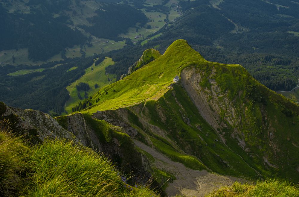 Photograph by Малика Маткарим