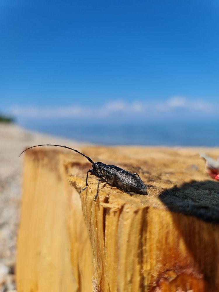 Photograph by Алексей Миронов