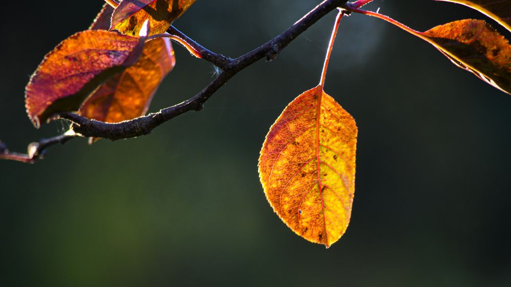 Photograph by Yuri Bohatyrov