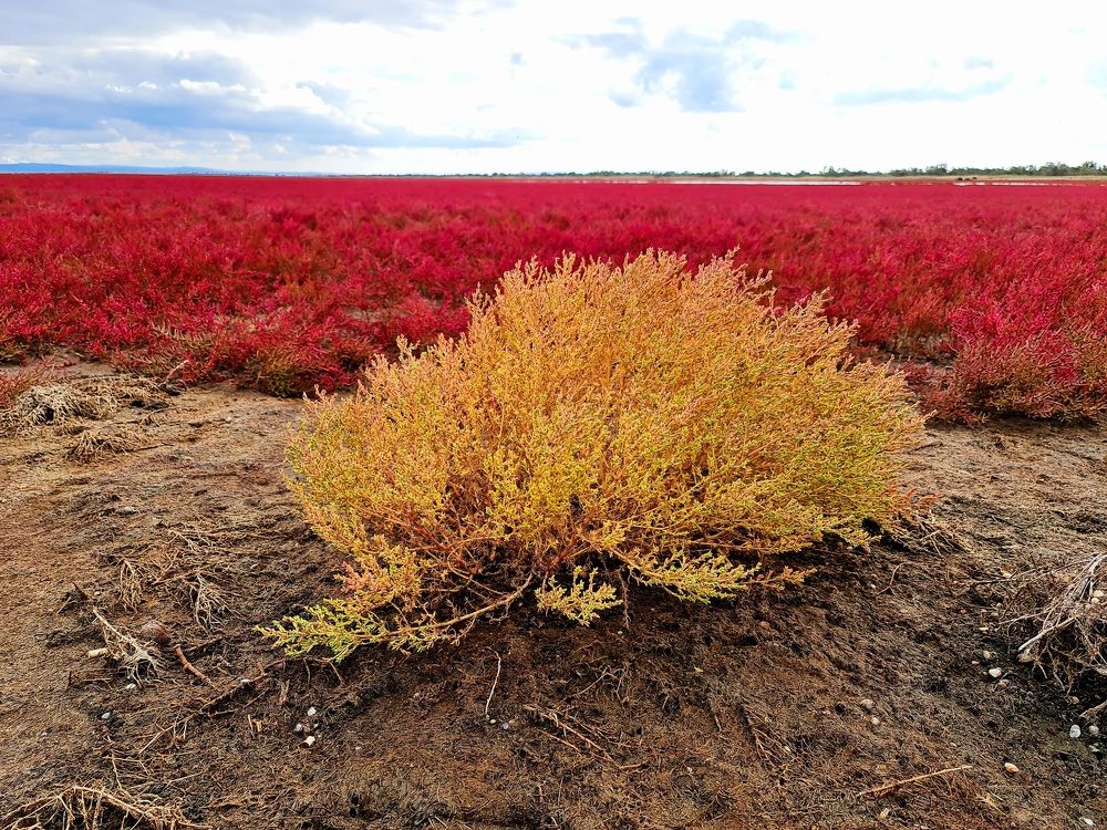 Photograph by Алексей Миронов