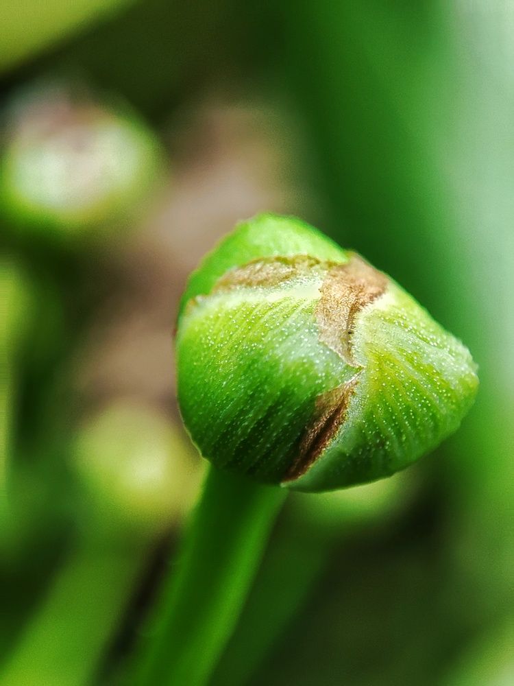 Photograph by Meilany Wijaya