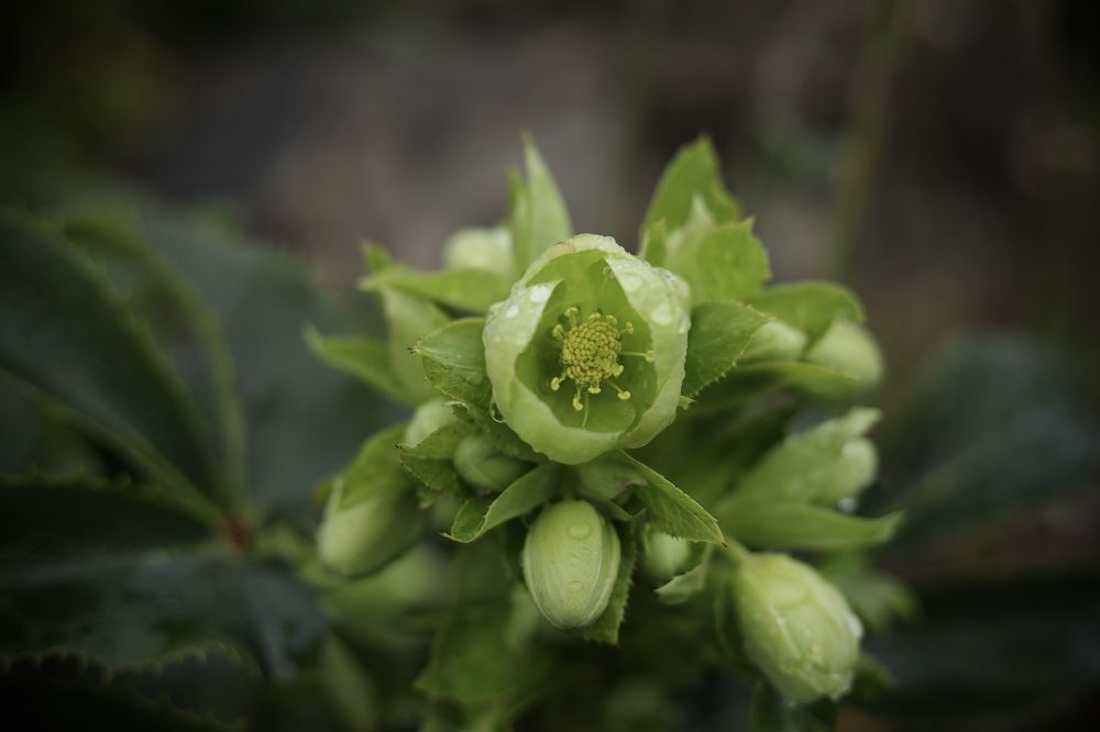 Photograph by Inga Dreger