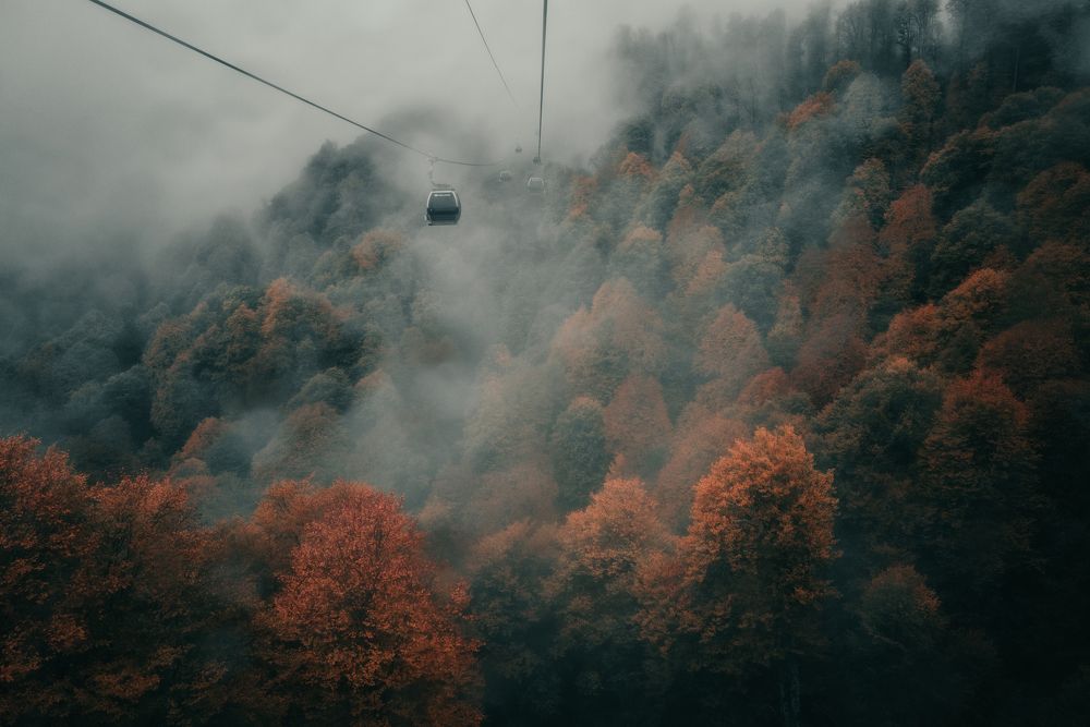 Фотография автора Алексей Шрайбик