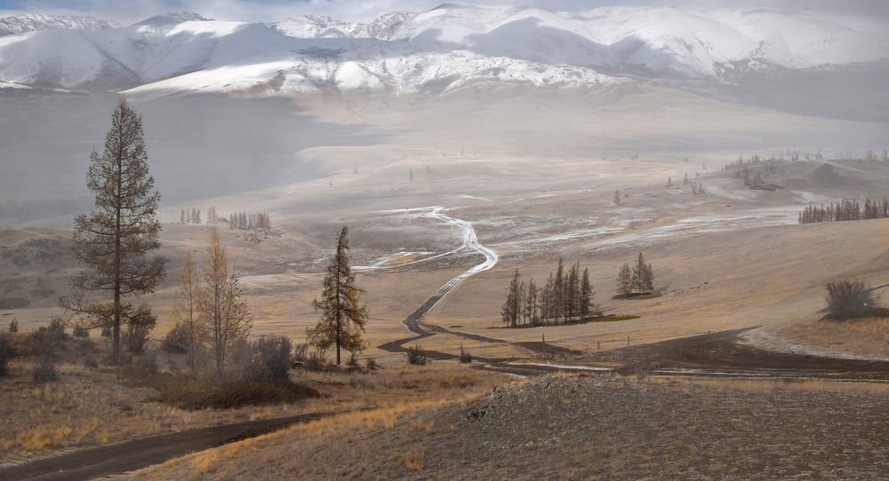 Photograph by Светлана Крат