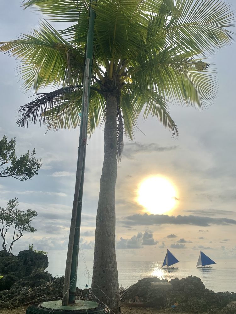 Photograph by carla jane banzuela