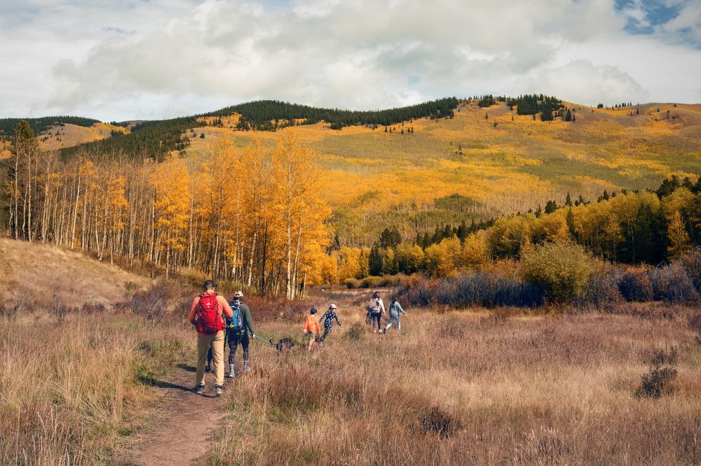 Фотография автора Dr.Hitesh Patel