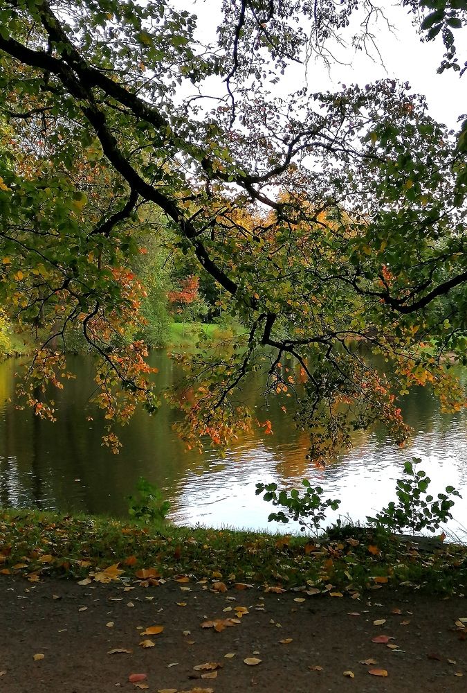 Photograph by Кристина Шмырева