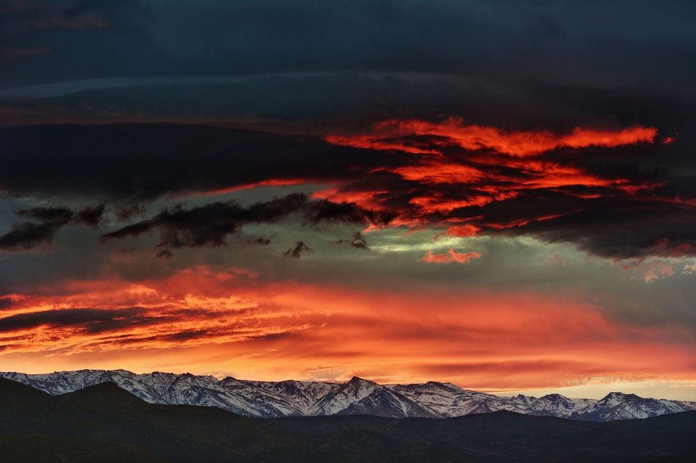 Photograph by VICKY Martinez