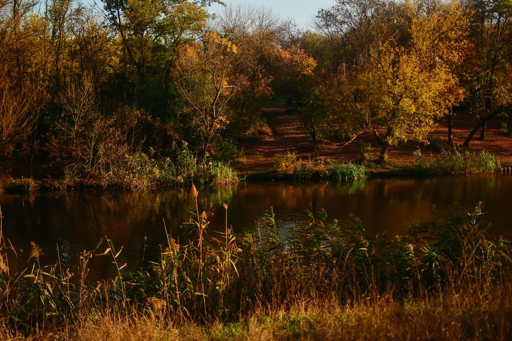 Photograph by Лидия