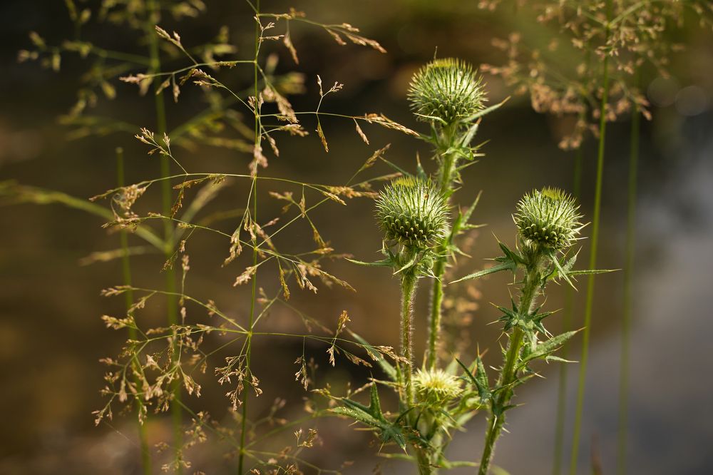 Photograph by Татьяна Богомазова