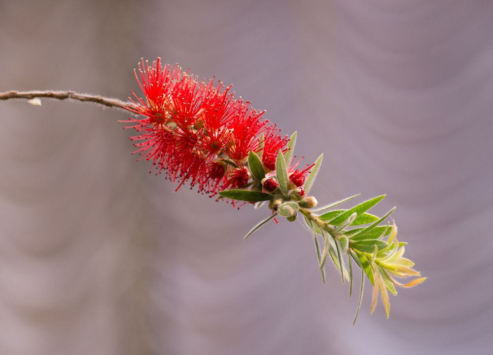 Photograph by Виктор Петров