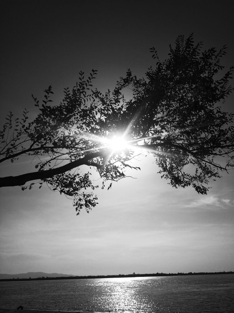 Photograph by Анна