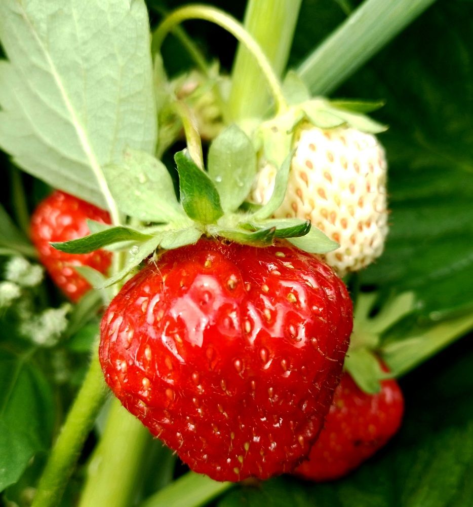 Фотография автора Natali