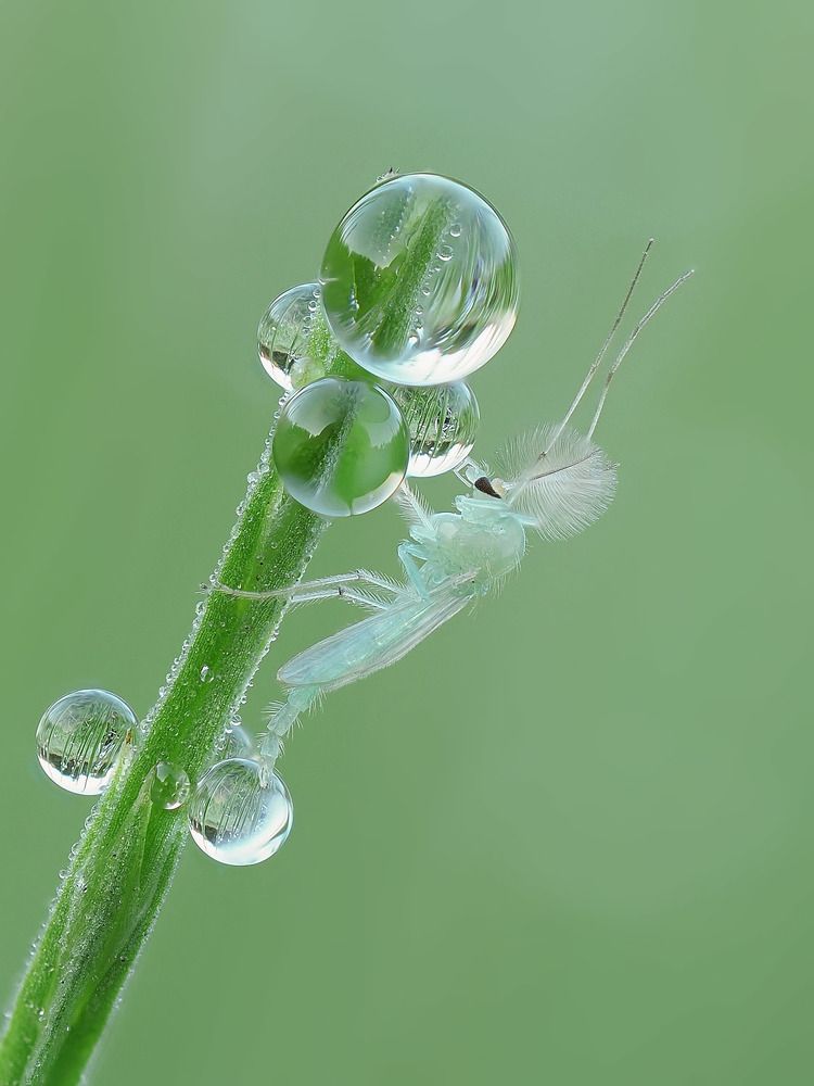 Photograph by Лукашук Евгений