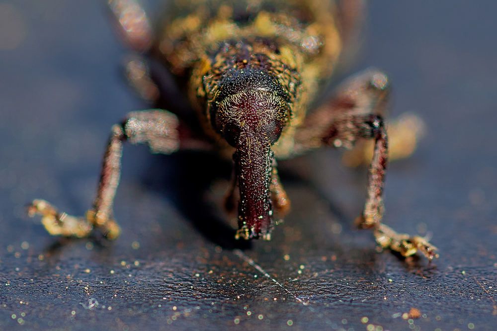 Photograph by Владимир Малевич