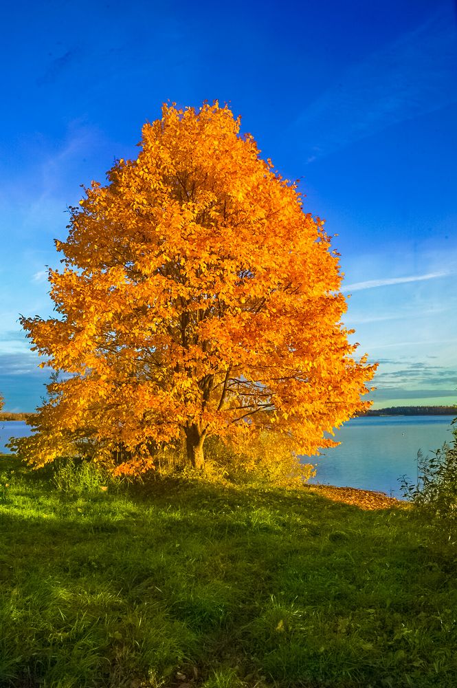 Photograph by Владимир Орлов