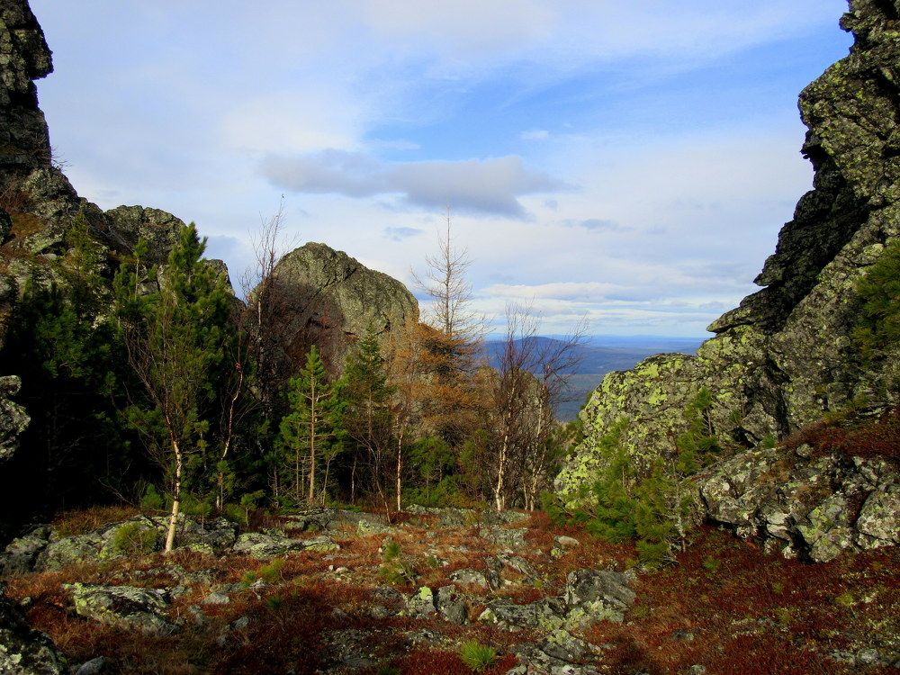 Photograph by Ирина Осипова