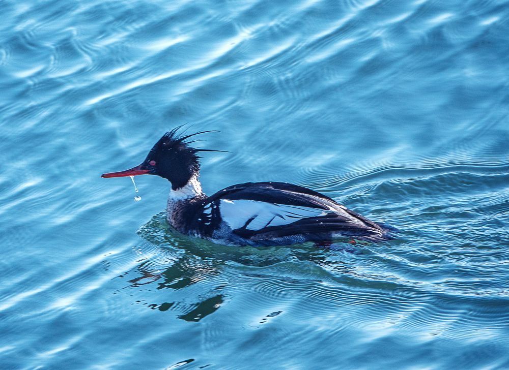 Photograph by Матвей Матвеев