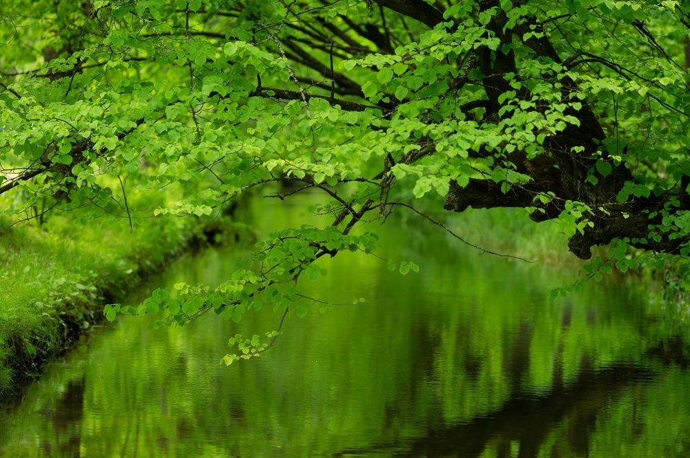 Фотография автора павел ермаков