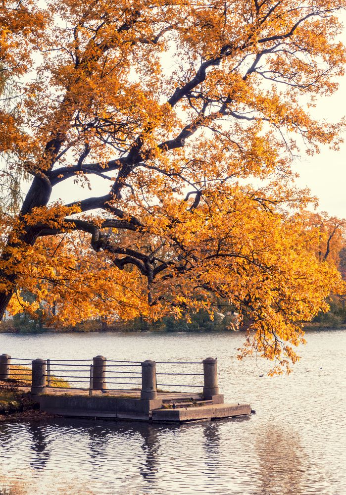 Photograph by Андрей Хаймин