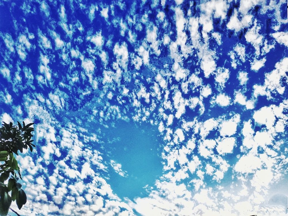 Photograph by prazzt boedhi