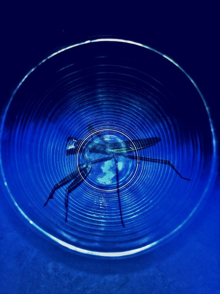 Photograph by prazzt boedhi