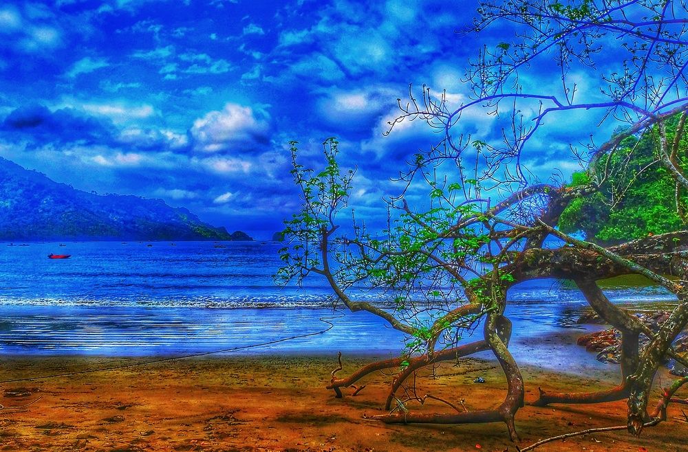 Photograph by prazzt boedhi