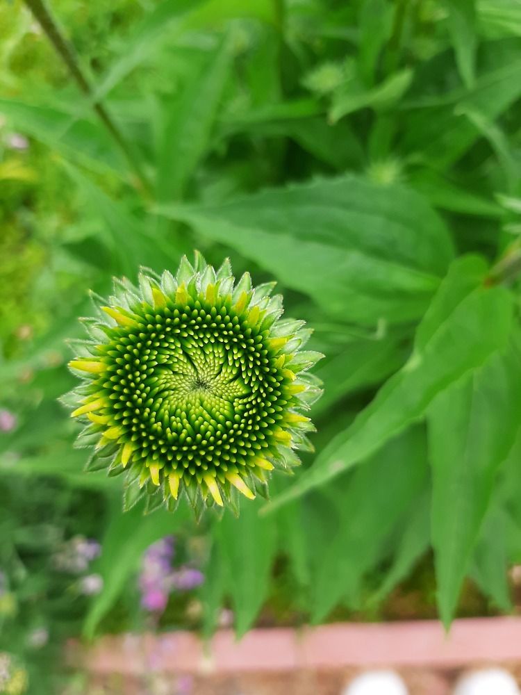 Photograph by Мария Глотова