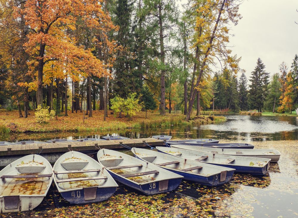 Photograph by Андрей Хаймин