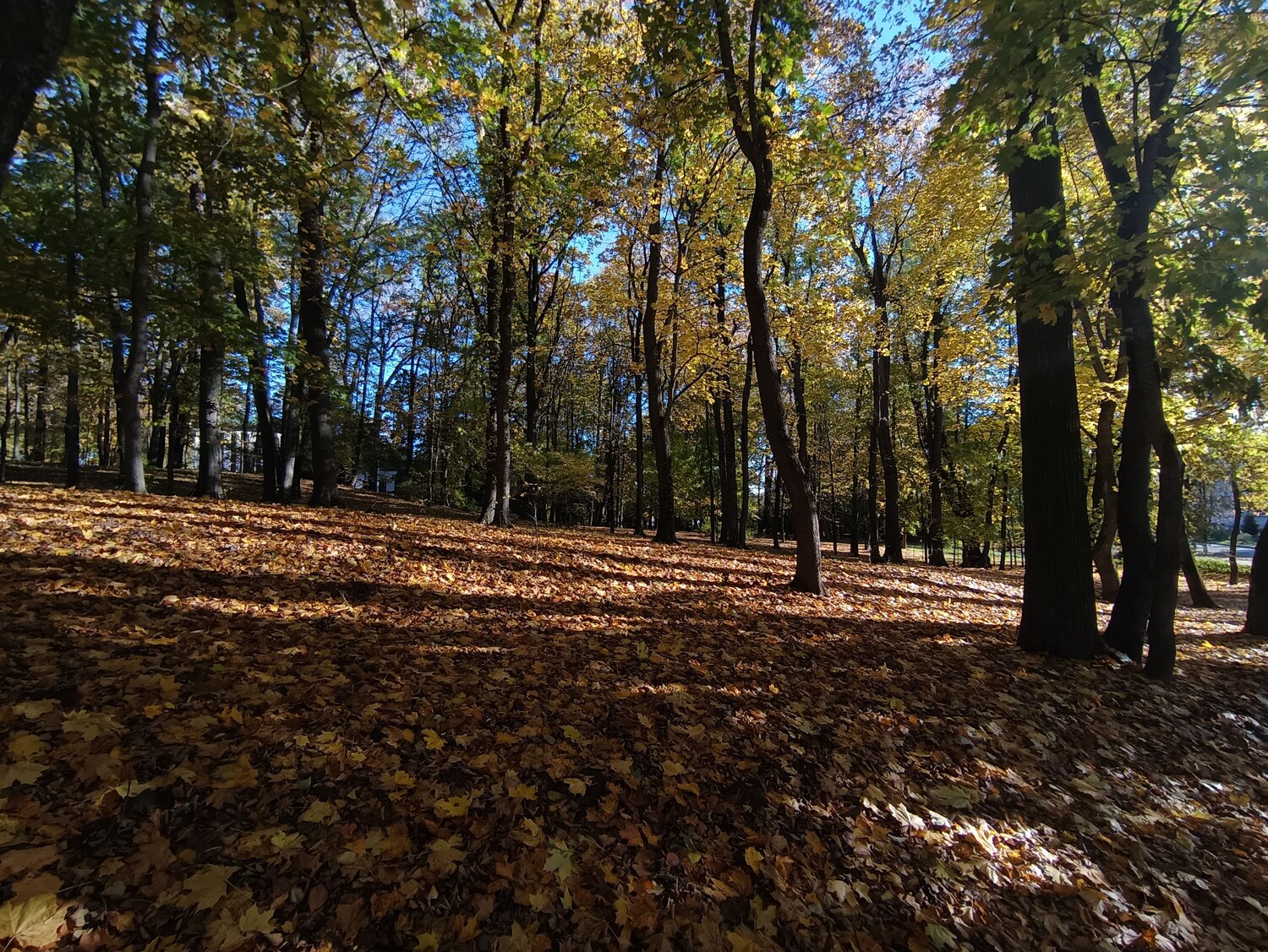 Photo #8226776