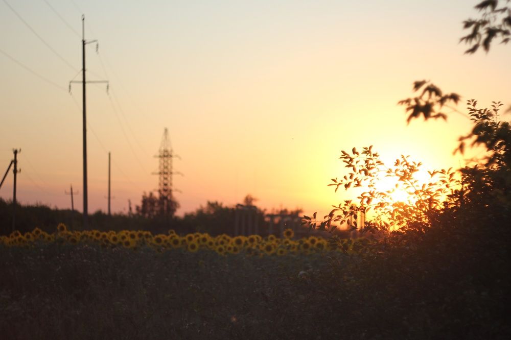 Photograph by Татьяна Аршинова