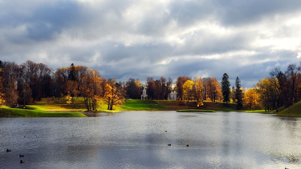 Фотография автора Alexander Komarov