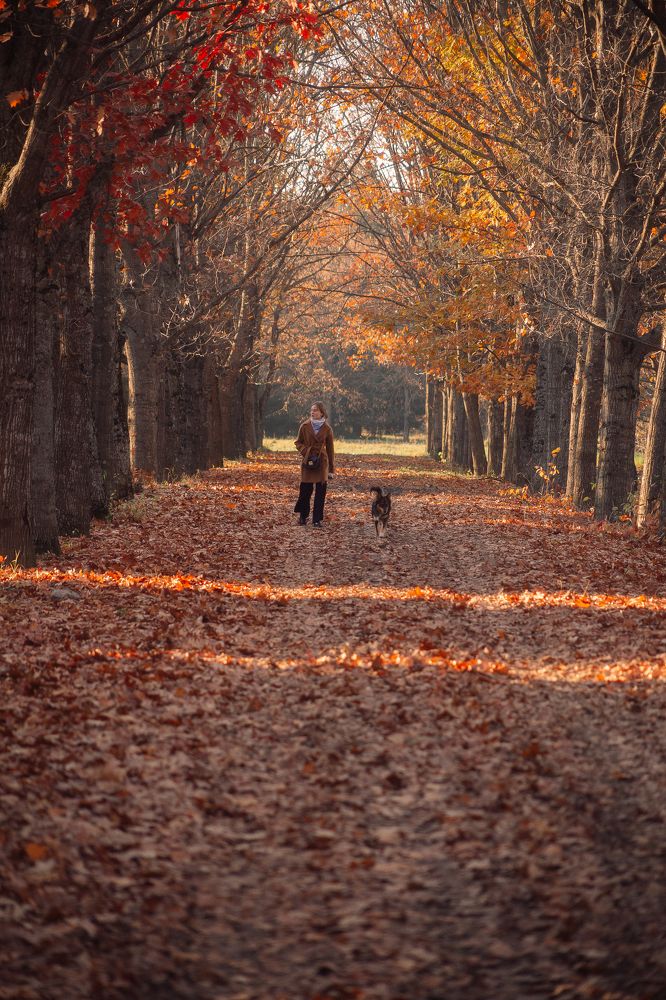 Photograph by Елизавета Можельская