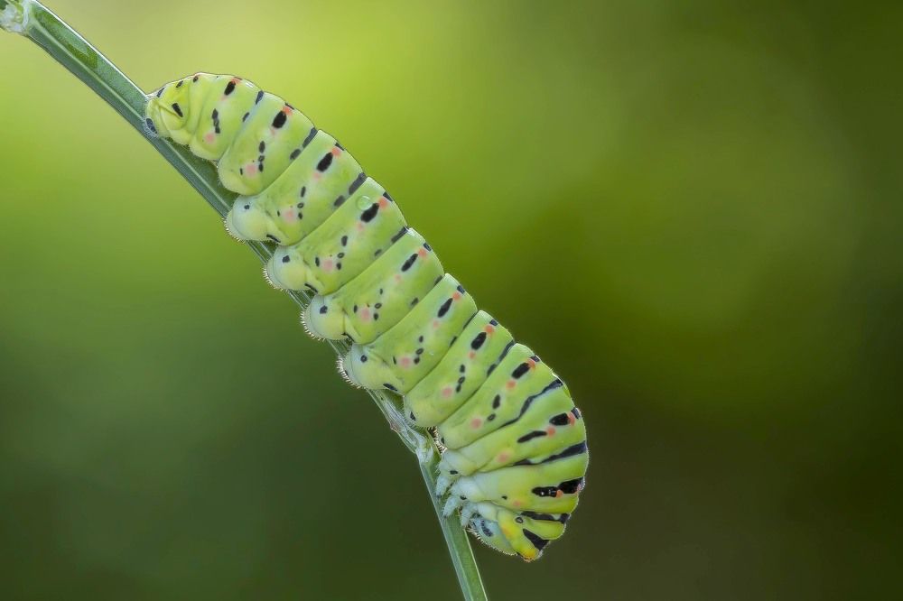 Photograph by Uygar Hüyüklü