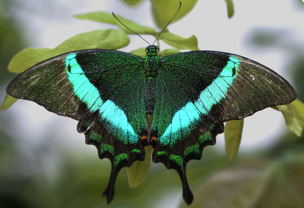 Photograph by Uygar Hüyüklü