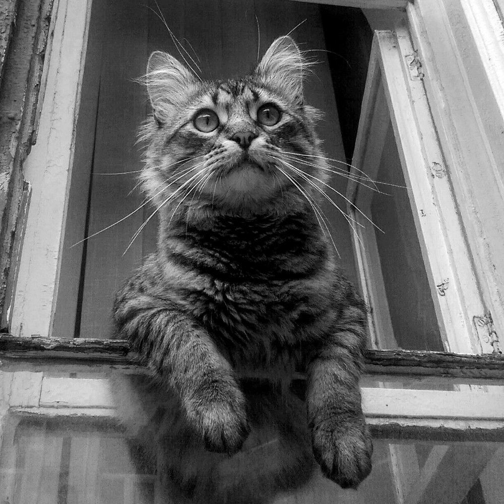 Photograph by Дмитрий Соколов