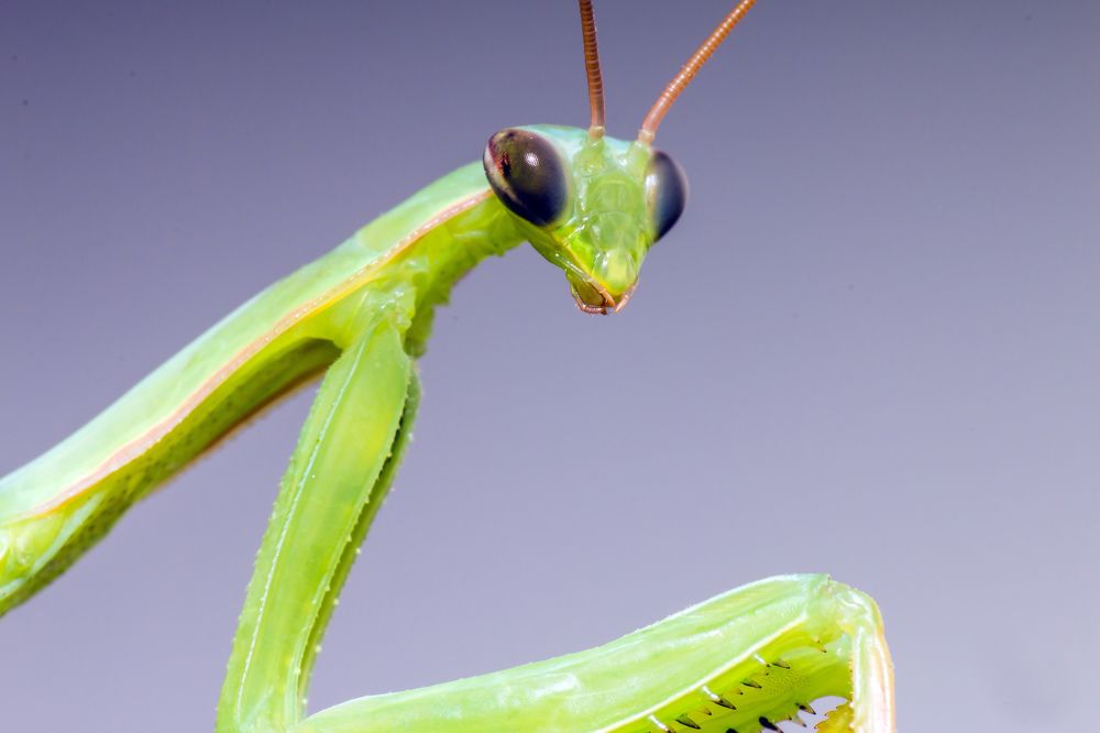 Photograph by Uygar Hüyüklü