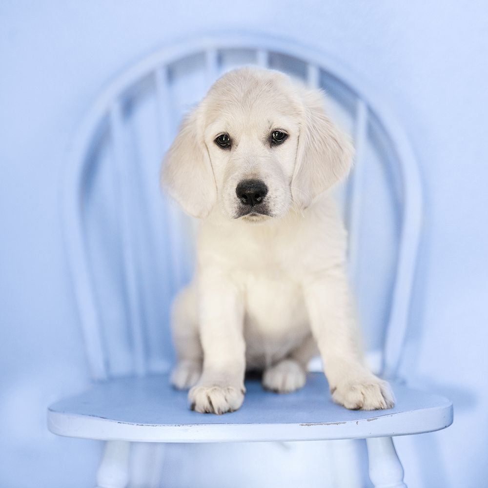 Photograph by  Erika Tinoco