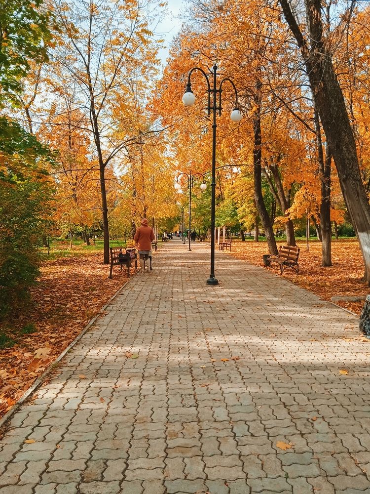 Photograph by Анна Напримерова