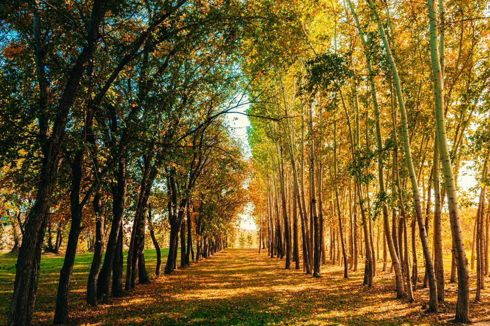 Осенний парк Астаны