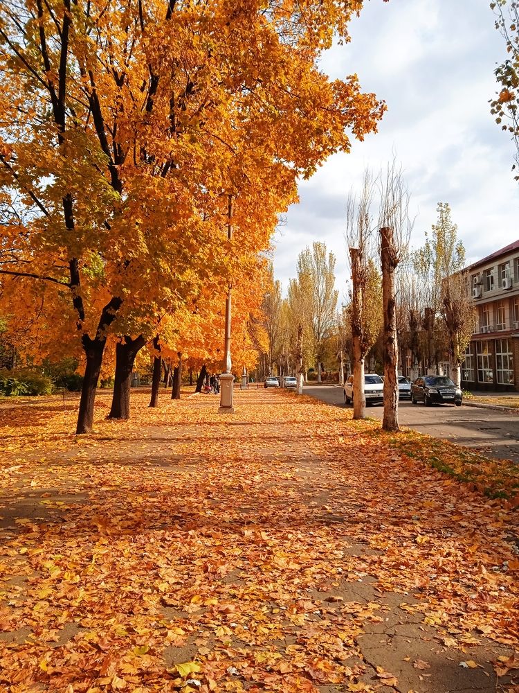 Photograph by Анна Напримерова