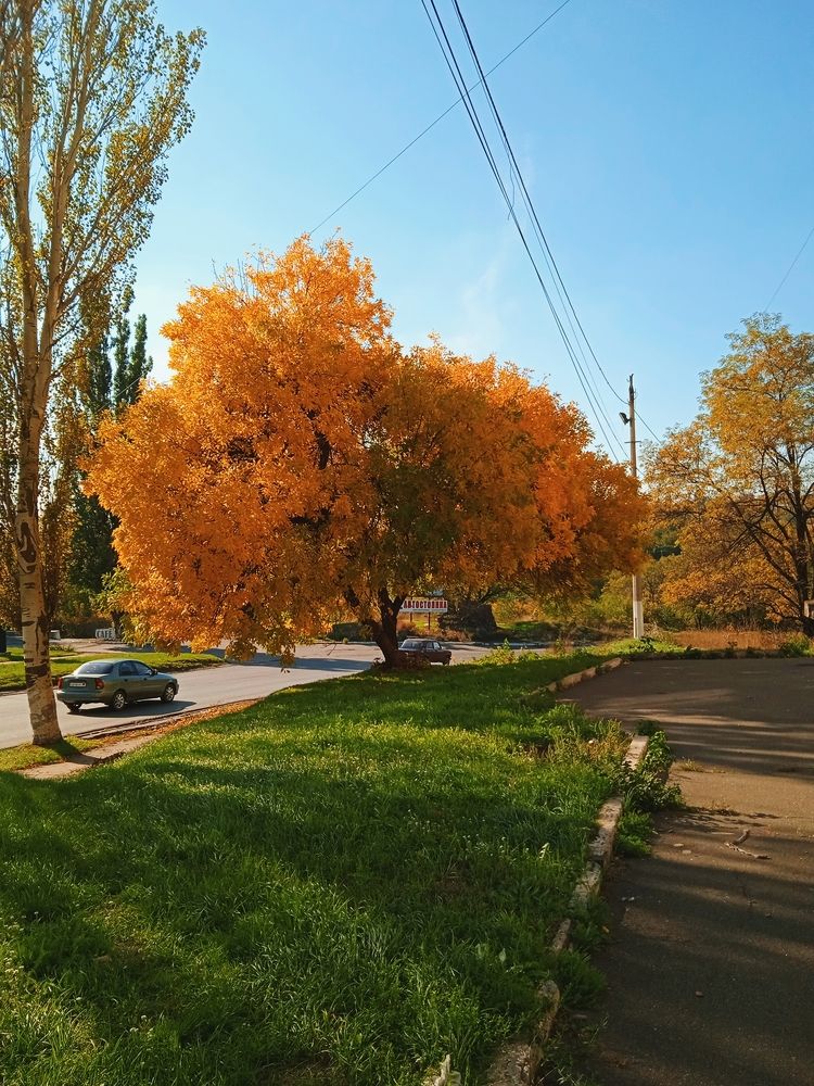 Photograph by Анна Напримерова
