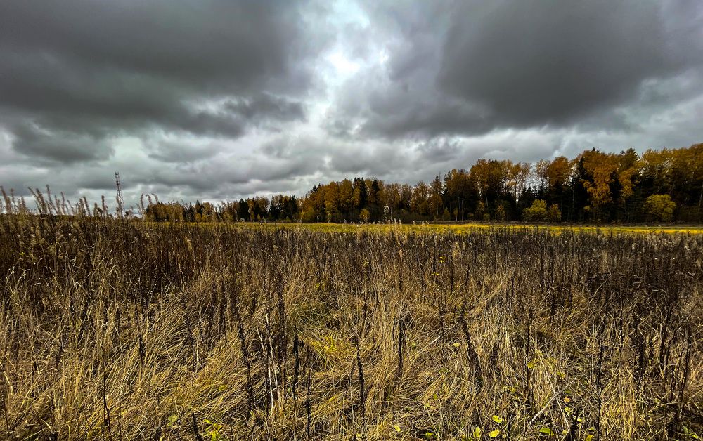 Photograph by Николай Тышкунов