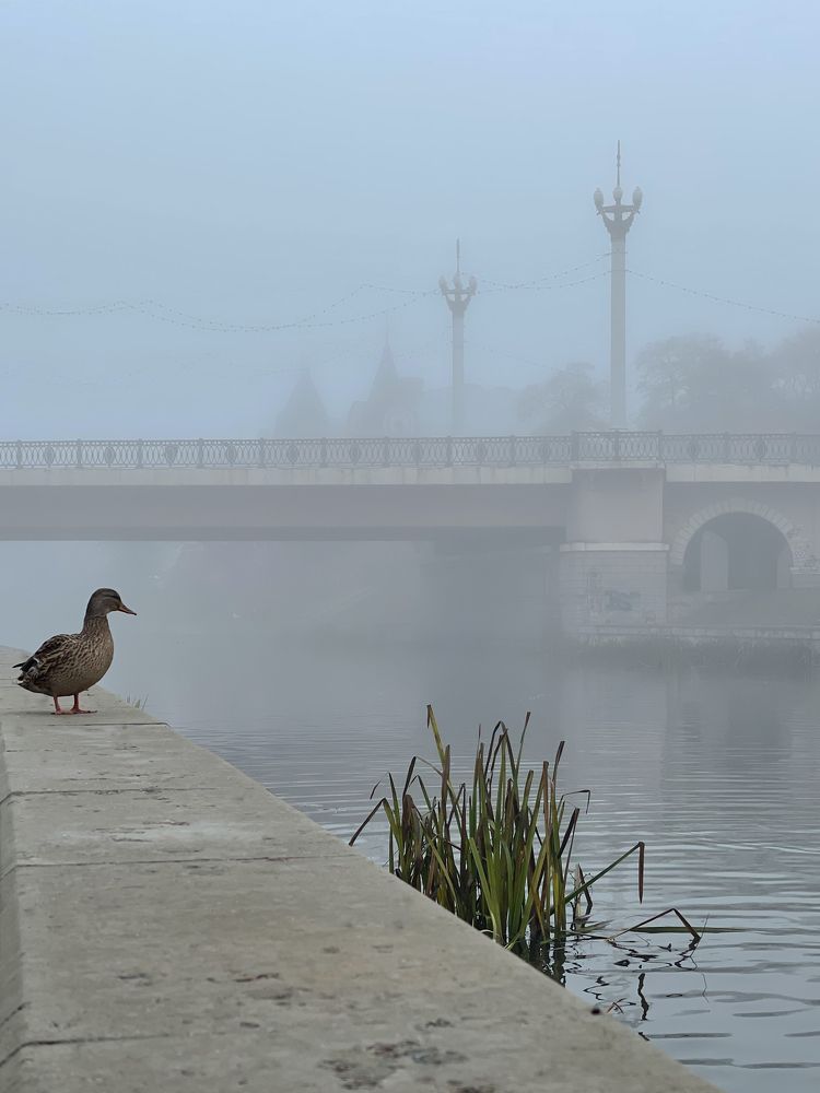 Photograph by Олеся Лагутина