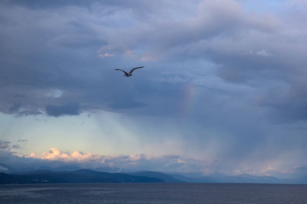 Умиротворение